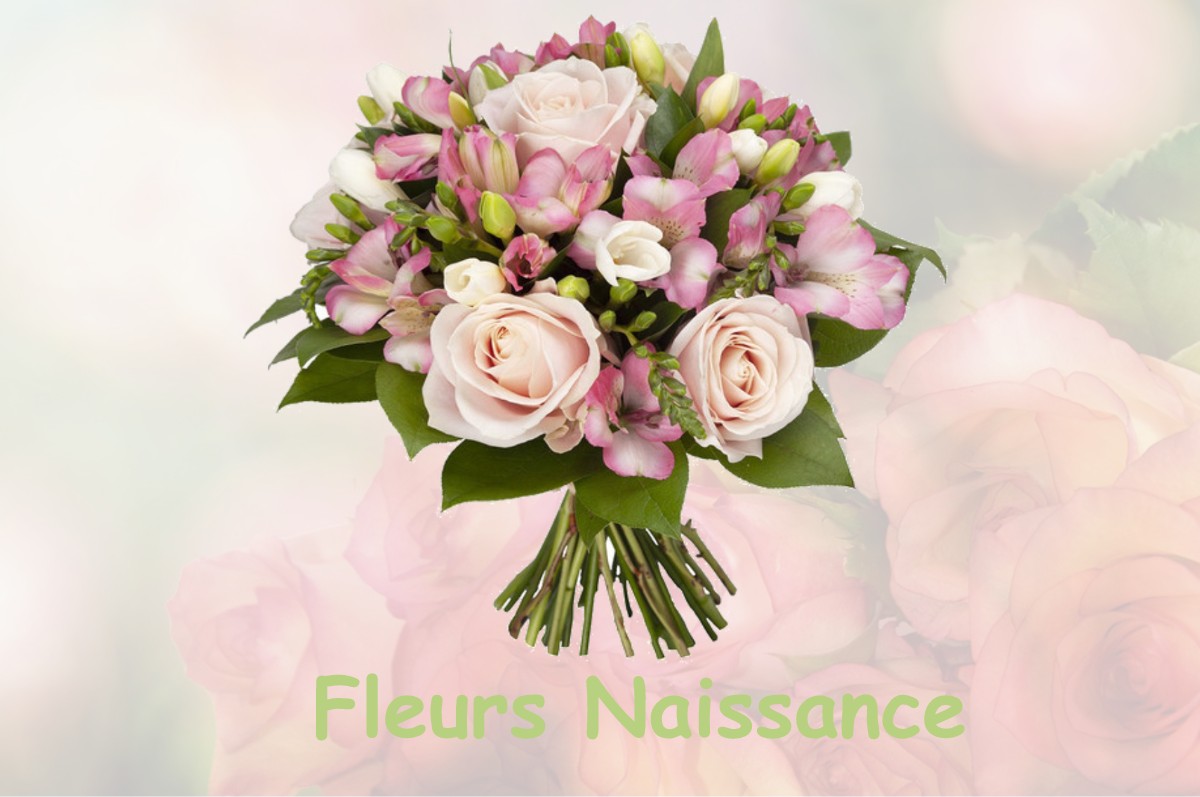 fleurs naissance NENIGAN