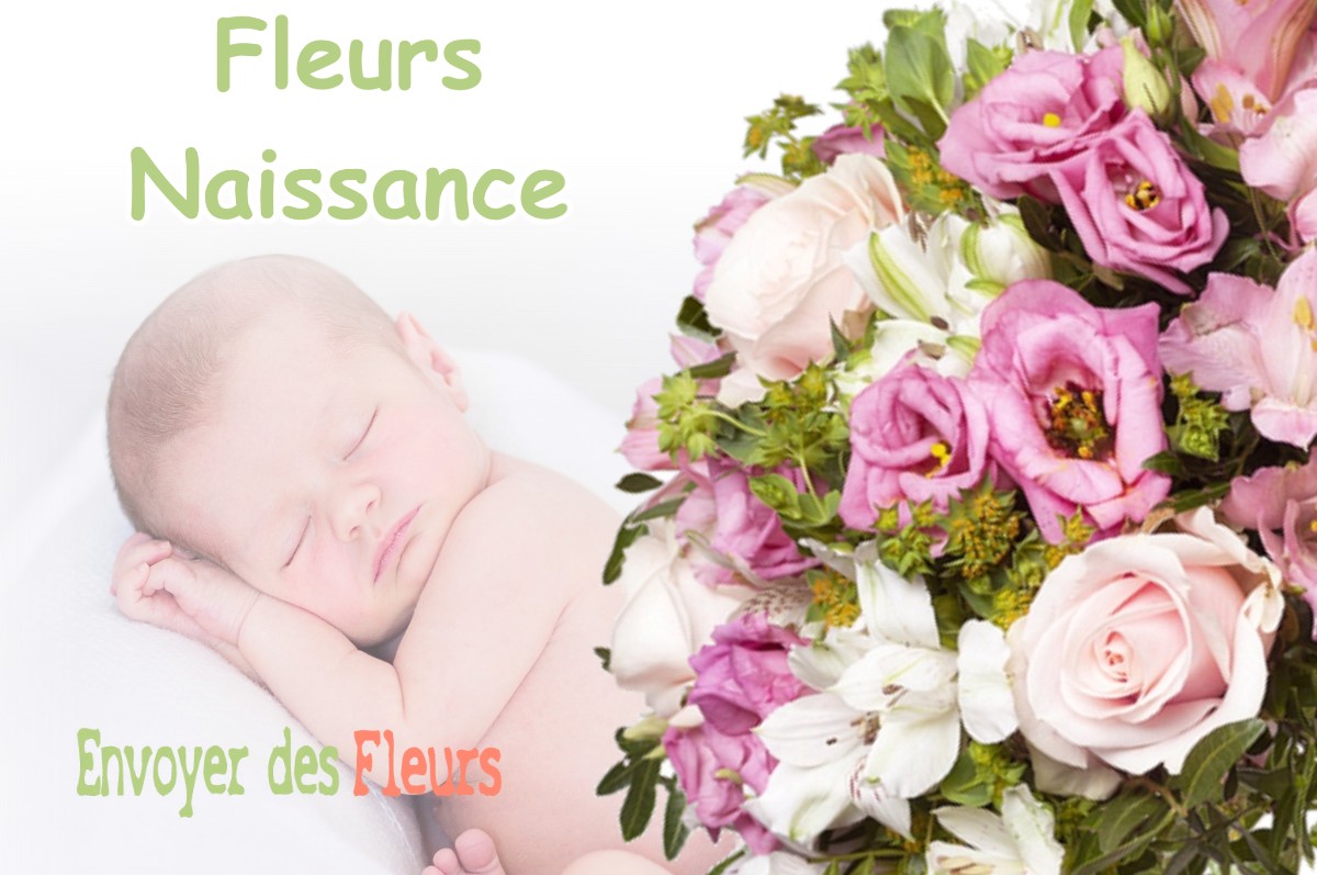 lIVRAISON FLEURS NAISSANCE à NENIGAN